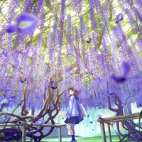 𝙧𝙞𝙖 🌸