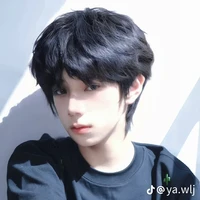 Vương Lỗ Kiệt – em