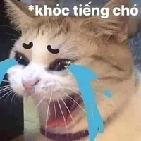 t/g bị lười