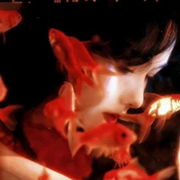 Hoà Ân Nhân Mã ²⁸