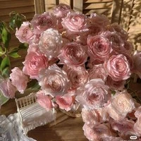 ny tg kiêm hệ thống