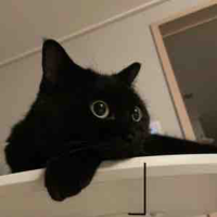 Kuro