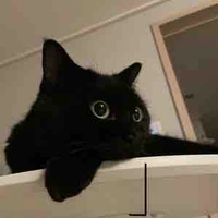 Kuro
