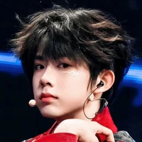 Trần Thuẫn Doanh