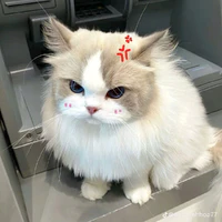 tag giả iu độc giả🌷