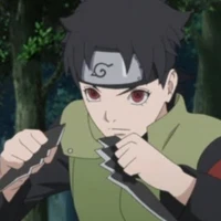 mirai/nam/