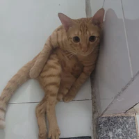 Tác giả siu flop nè