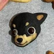 côn đồ