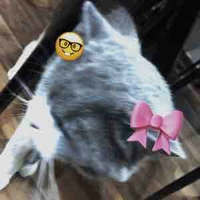 T/g nèe🎀