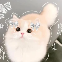 hệ thống Ân Ân