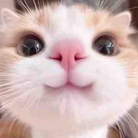 Nhỏ tg ko bth 😍