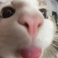 Cô pé tác giả