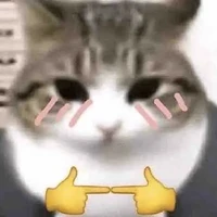 cả lớp