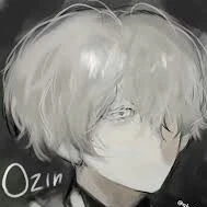ozin