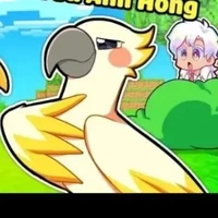 dua hấu 
