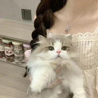 Huỳnh Như [ Arian ]