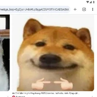 t/g nhìu lúc bị đin khùng