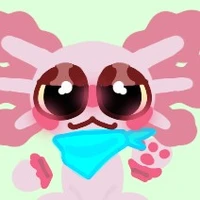 bonchi