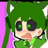 mèo kiwi mali