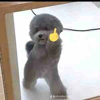 Hệ thống  001 "laya"