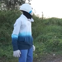 Ice sans
