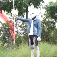 Lost sans