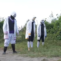 Tam sans