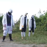 Tam sans