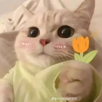 nhỏ tg đin đin khùn khùn