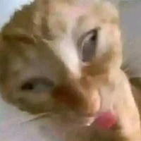 chủ tôn giáo của 2time theo