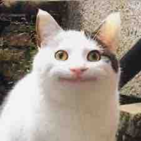 Chú 