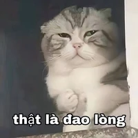 T/g xạo chó