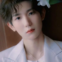 Vương Nguyên ( papi các anh ).