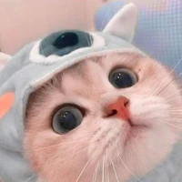tác giả