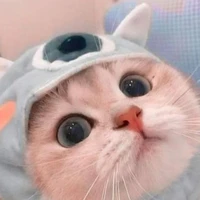 tác giả