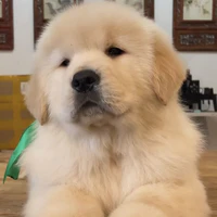 mọi người trừ ai không cần