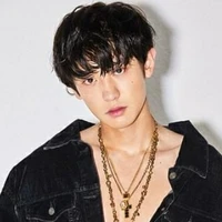 Park Chanyeol (Park lão sư)