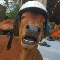 t/g cute nhất hành tinh🥵