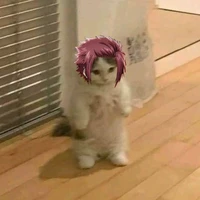 T/g siêu cấp cutii