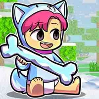 Hiha_Shiba Tuyết
