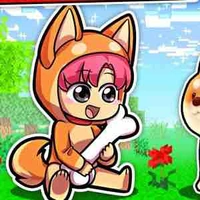 Hiha_Shiba