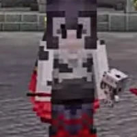 Don - Mega SMP 2024 -