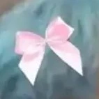 mấy bé bot