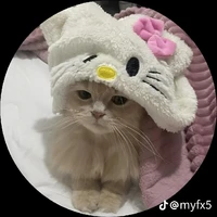 𝑚𝑖𝑛𝑎_𝑘𝑜𝑡𝑜(𝑐𝑟𝑒𝑎𝑡𝑒𝑟)