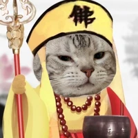 t/g siêu cute
