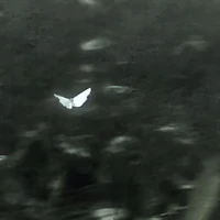 Hùng Akira