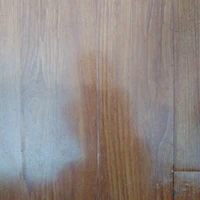 Tôi đây không ngán một ai