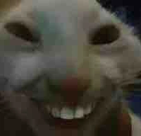 Vai gì bố mày cx chs