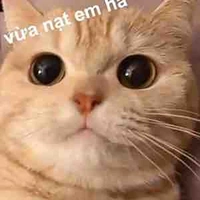Lâm Tùng (con bạn của Quỳnh Anh)