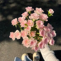 Giun_12 T/g
